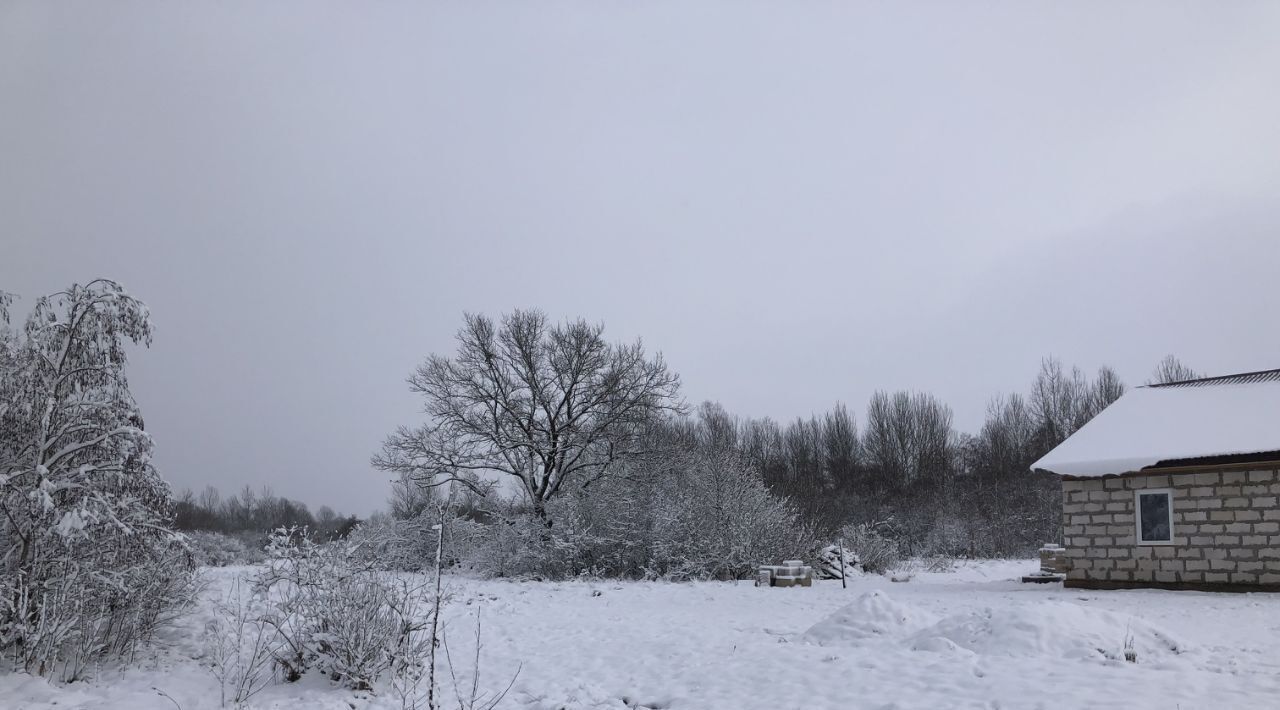 земля р-н Шимский рп Шимск ул Свободы фото 4