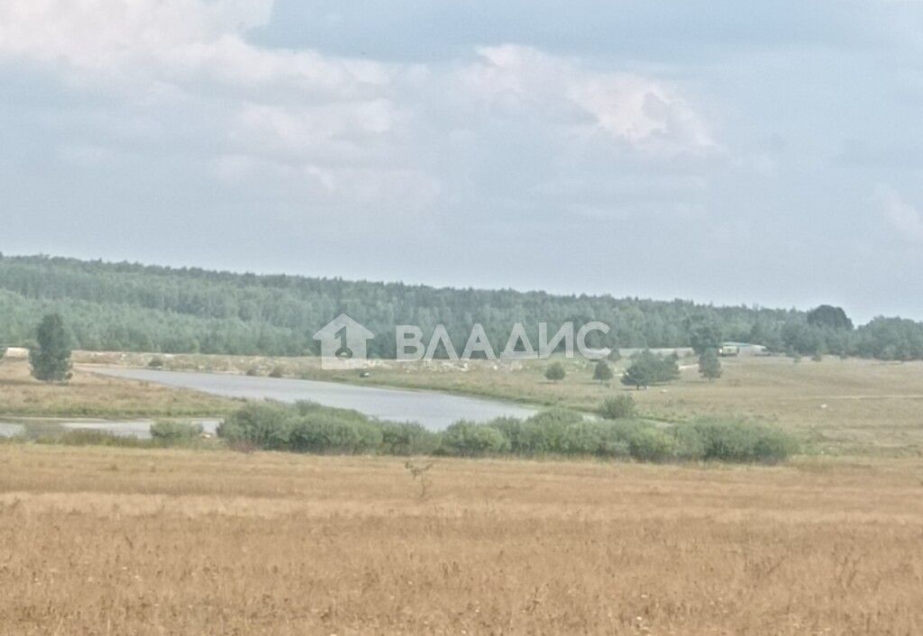 дом р-н Судогодский с Языково муниципальное образование Андреевское, Андреево фото 27