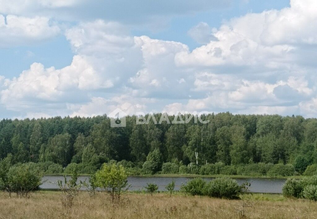 дом р-н Судогодский с Языково муниципальное образование Андреевское, Андреево фото 28