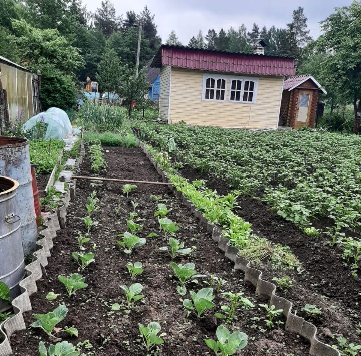 дом р-н Жарковский пгт Жарковский пер Октябрьский 1в фото 7