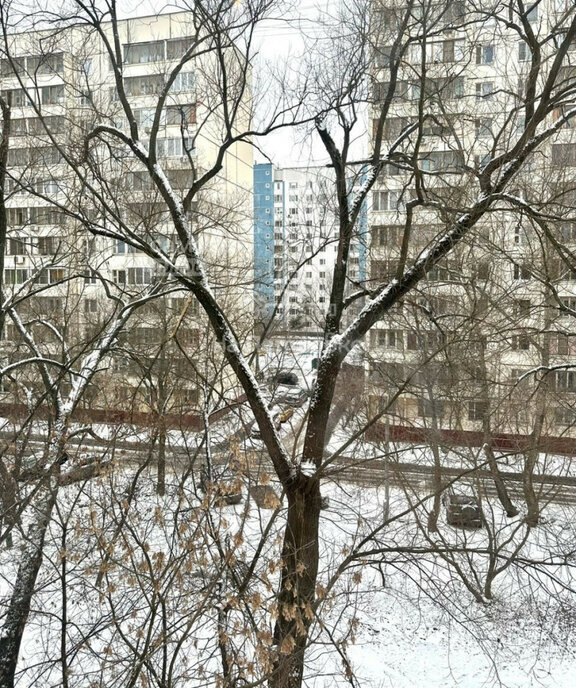 квартира г Москва Кусково ул Кусковская 21к/3 фото 11