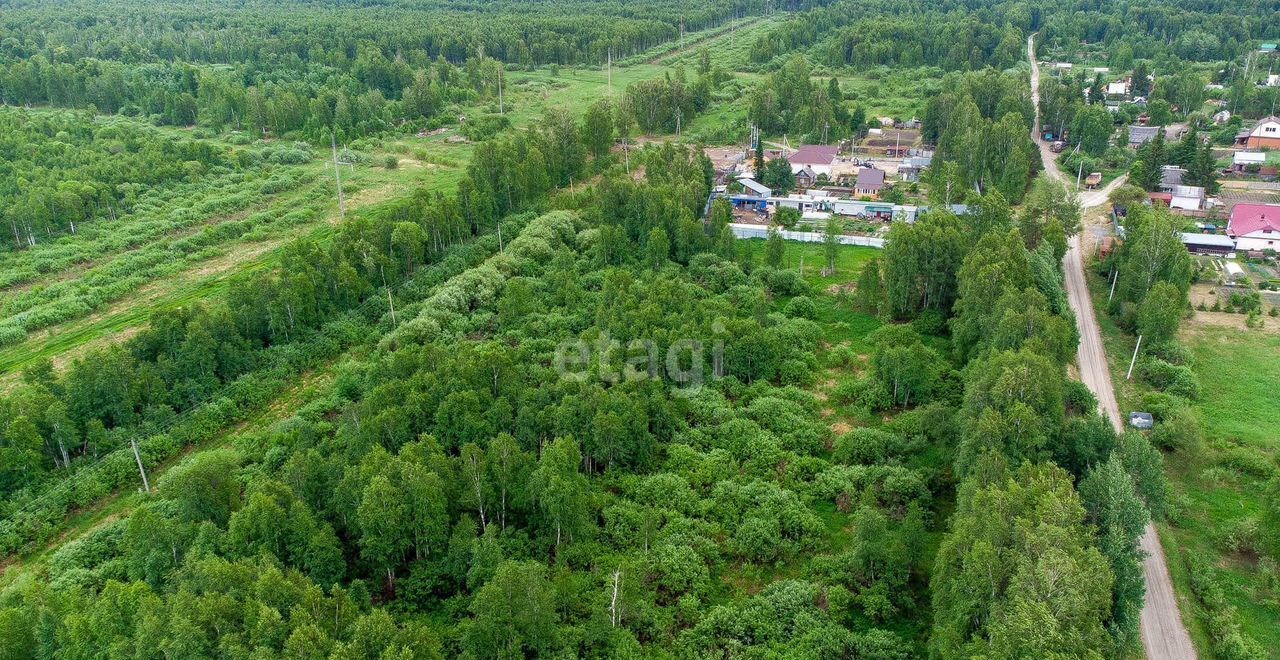 земля р-н Нижнетавдинский снт тер.Разбахта Тюмень фото 17