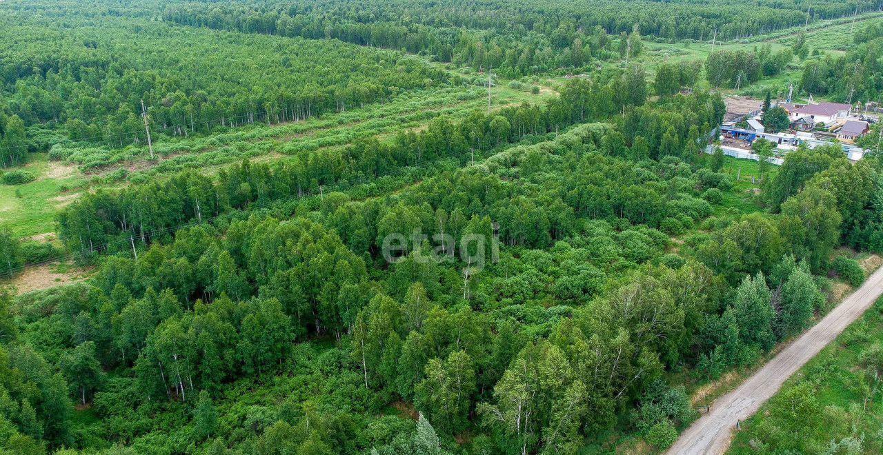 земля р-н Нижнетавдинский снт тер.Разбахта Тюмень фото 18