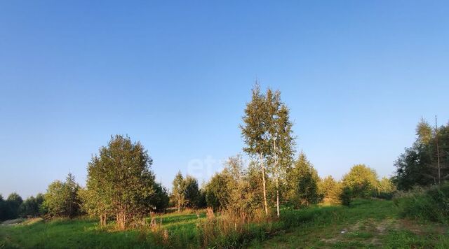 земля р-н Сыктывдинский с Выльгорт фото