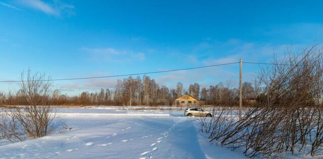 земля 12-й Велижанского тракта км фото