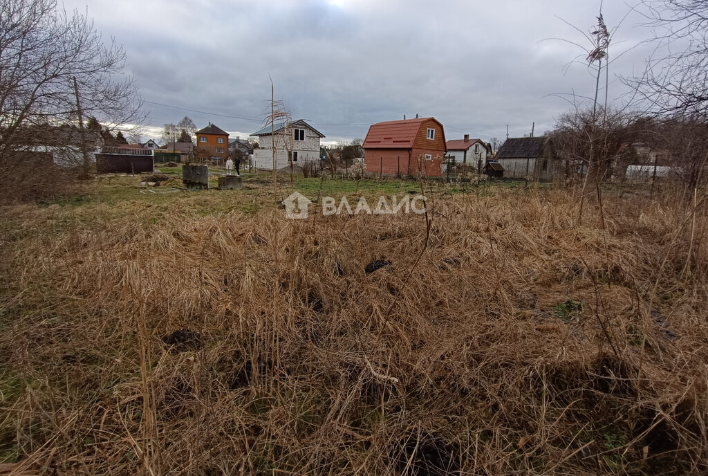 земля р-н Гурьевский снт Рябиновка Лесная улица фото 4