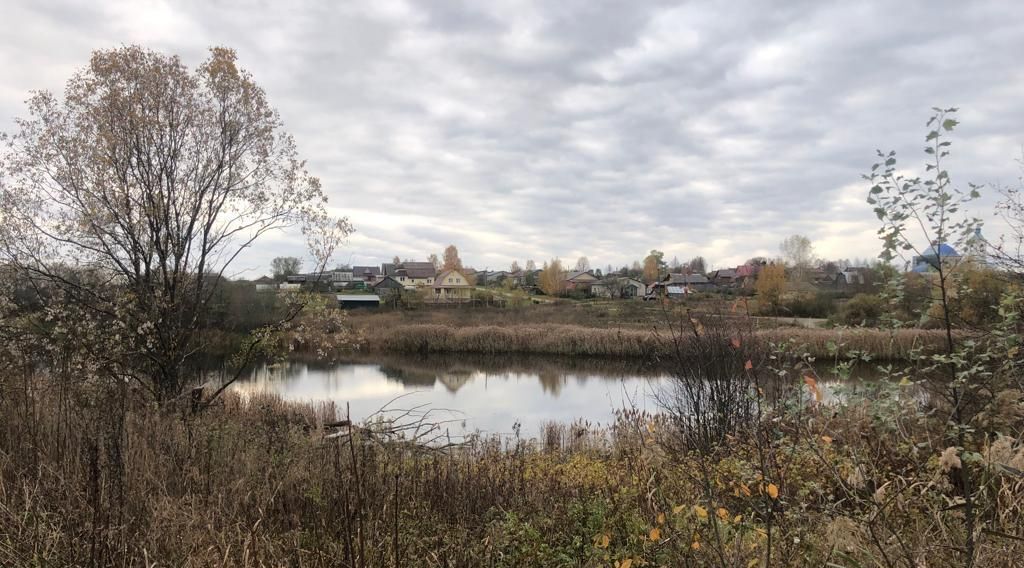 земля р-н Переславский с Андрианово Переславль-Залесский городской округ фото 4