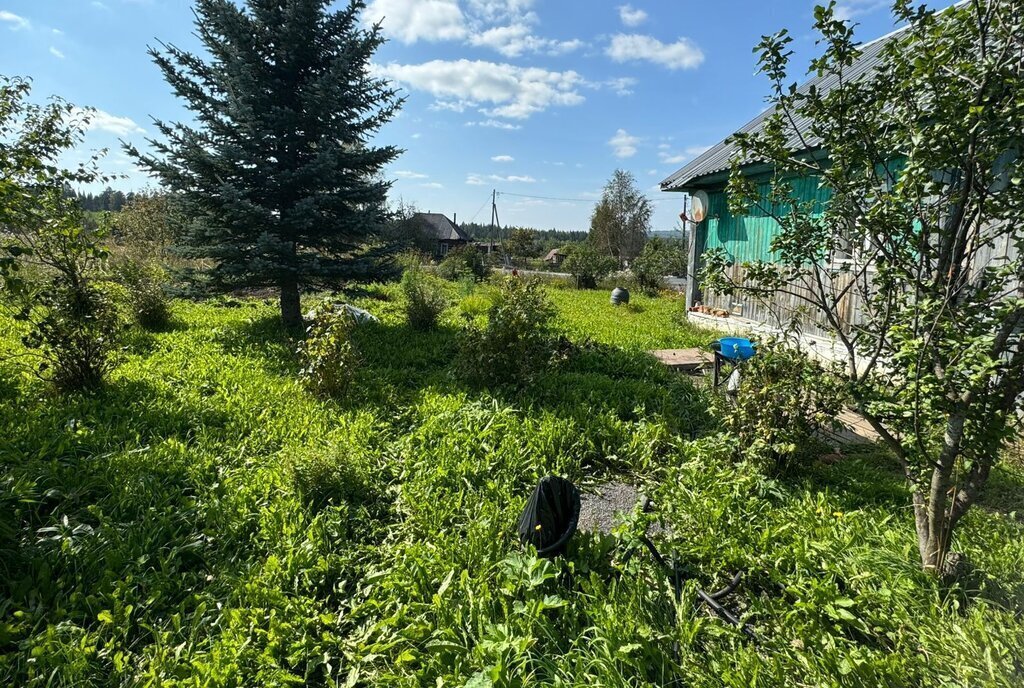 дом р-н Нижнесергинский д Половинка ул Трактовая 37 Нижнесергинское городское поселение фото 8