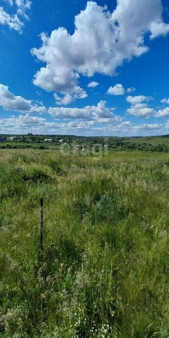 земля р-н Рамонский с Русская Гвоздевка ул Беговая фото 8