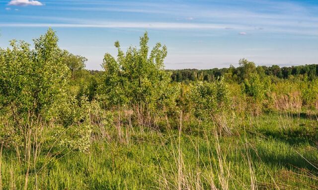 земля 18 км, территория Дарьино-Успенское, Красногорск, Рублёво-Успенское шоссе фото