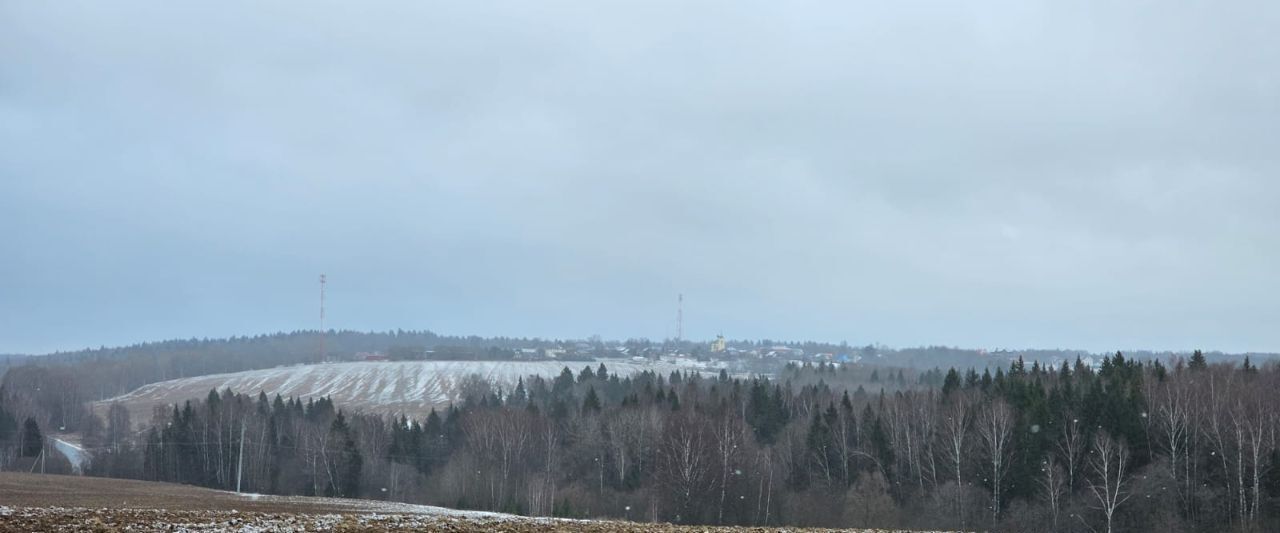 земля городской округ Сергиево-Посадский Новопальчино тер фото 9