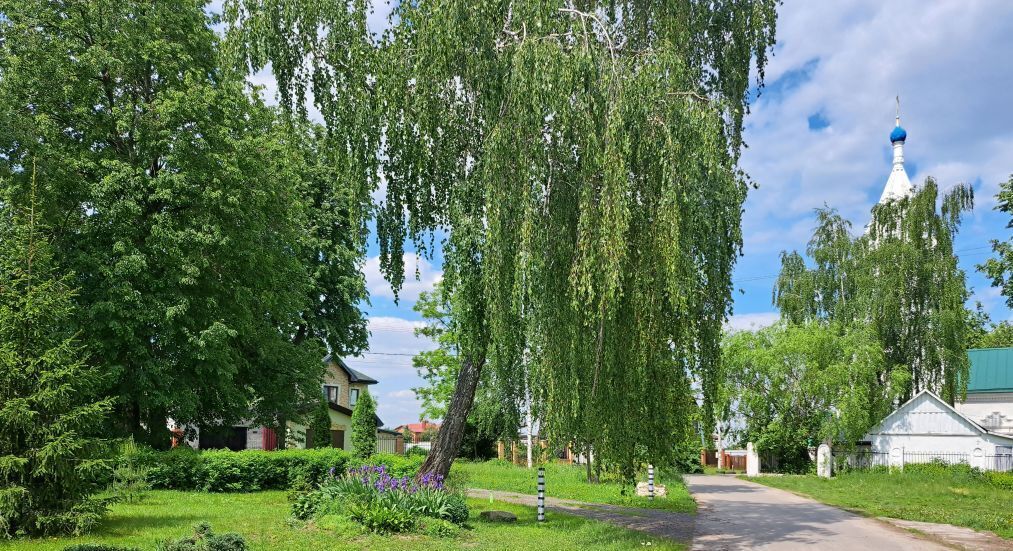 земля городской округ Раменский д Каменное Тяжино Удельная, 51 фото 2