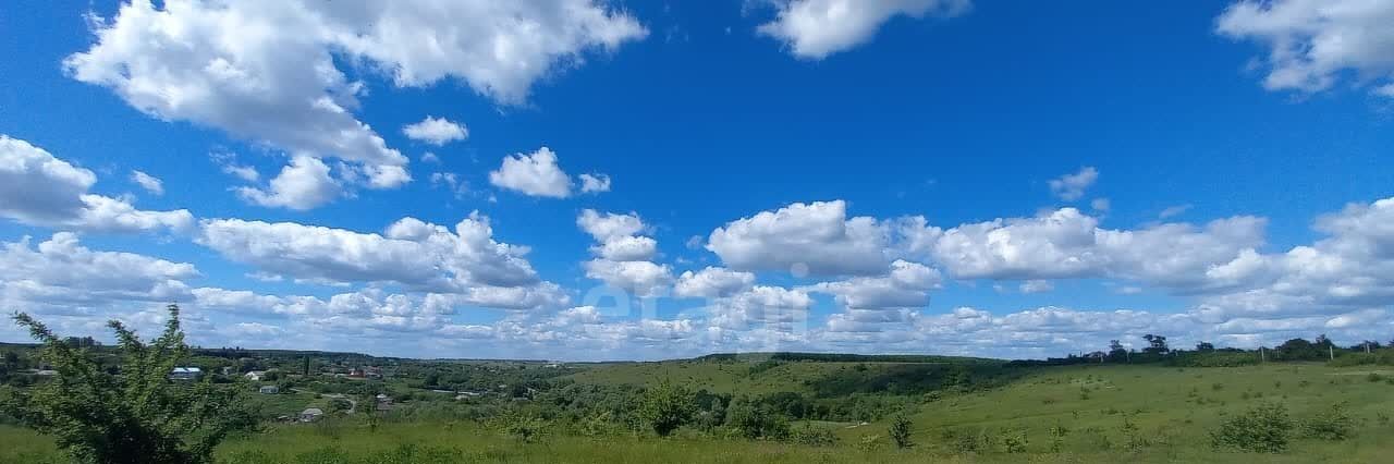 земля р-н Рамонский с Русская Гвоздевка ул Беговая фото 3