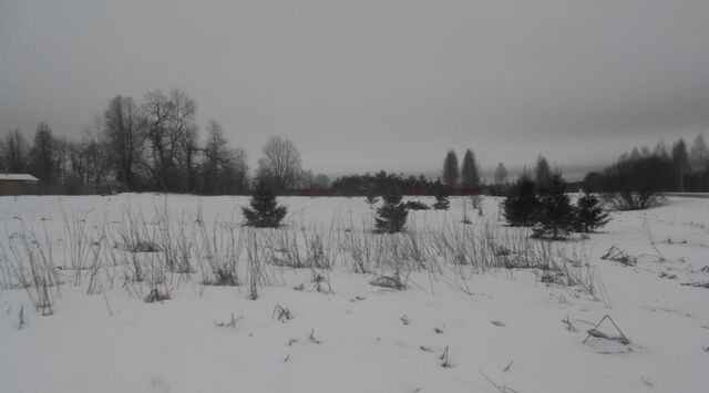 городской округ Шаховская д Симанково фото