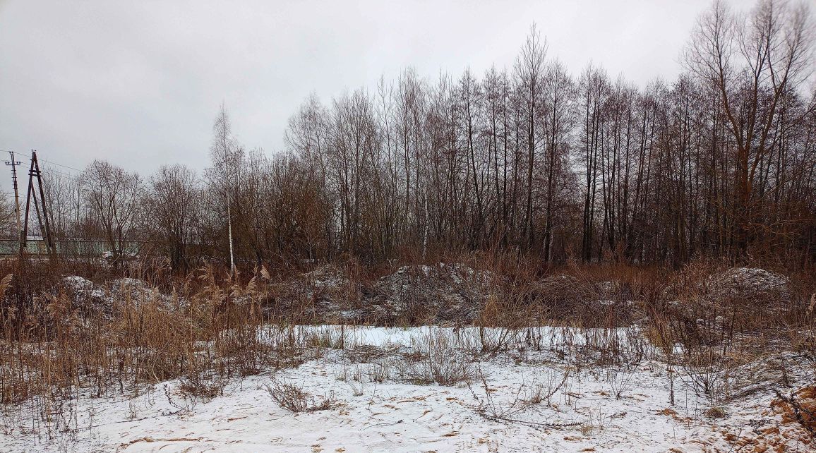 земля городской округ Воскресенск д Белое Озеро ул Железнодорожная фото 4