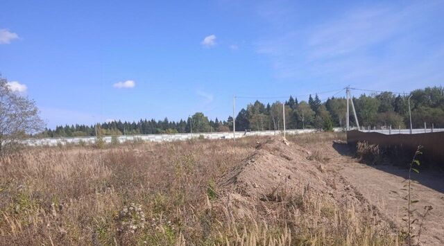 Сергиево-Посадский городской округ, д. Топорково фото