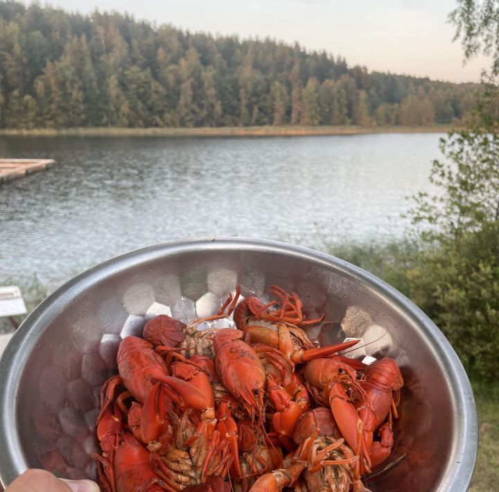 дом р-н Выборгский Каменногорское городское поселение фото 3