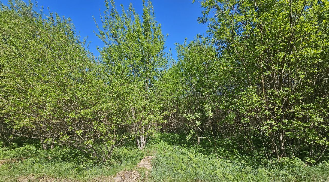 офис р-н Всеволожский Морозовское городское поселение, Участок Морозовка тер фото 3