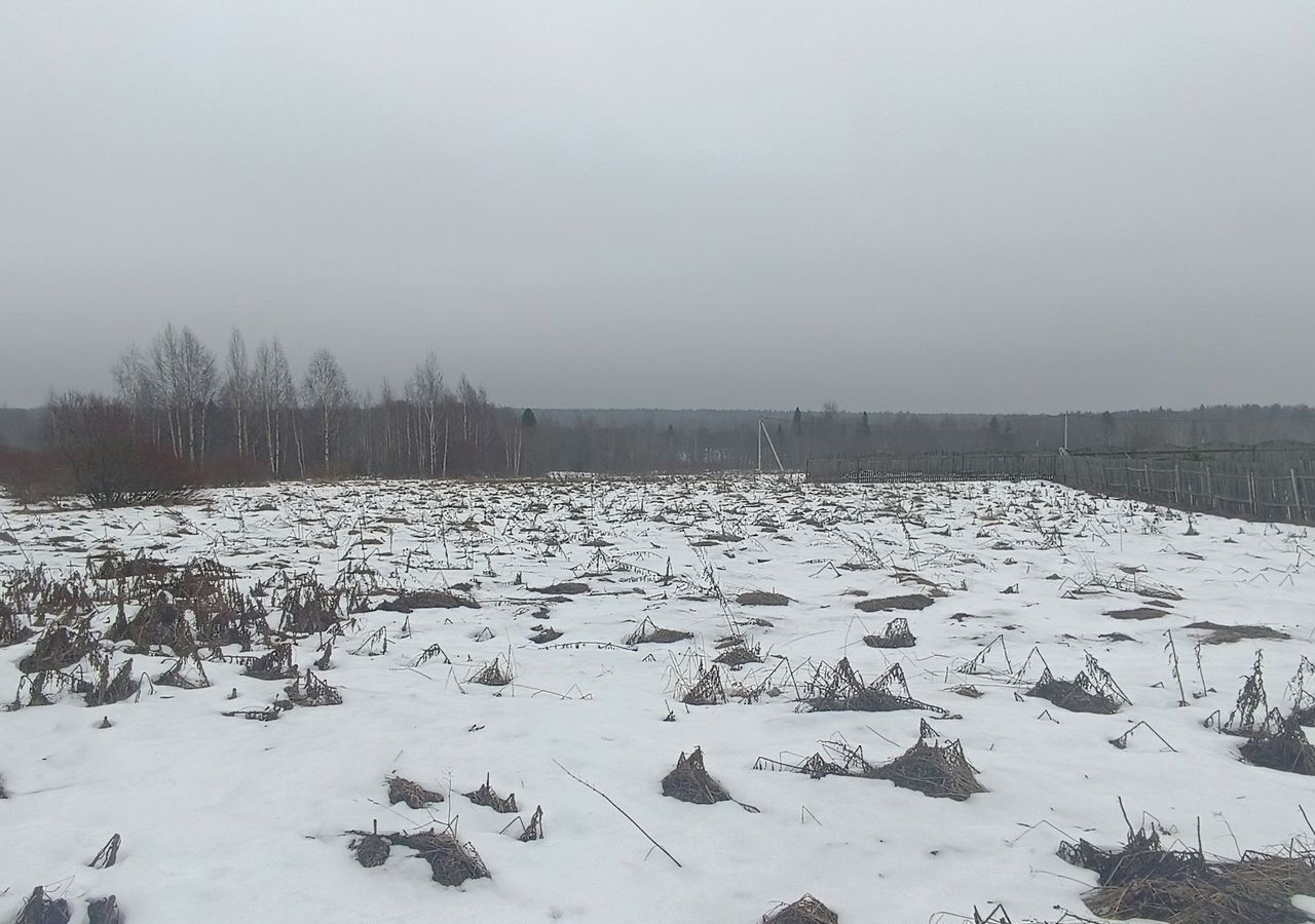 земля р-н Вологодский д Ельцыно тер Железнодорожная станция Дикая, Молочное фото 2