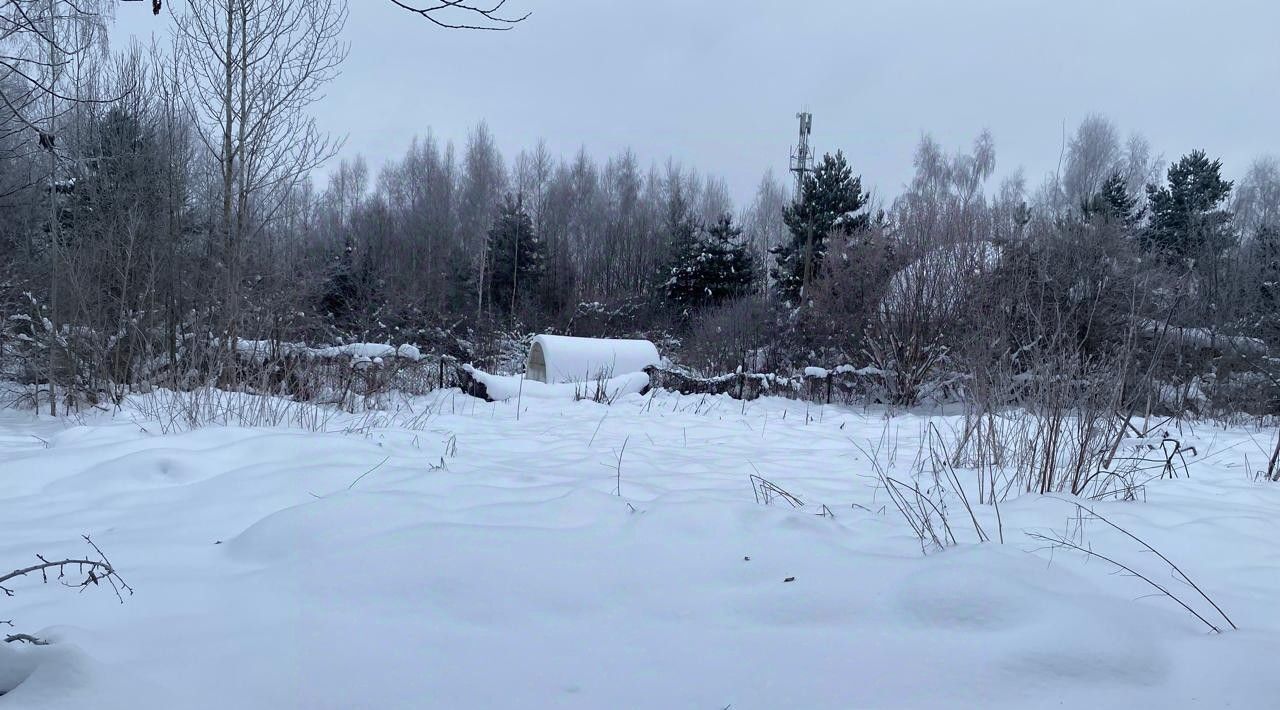 офис городской округ Рузский д Щербинки фото 1