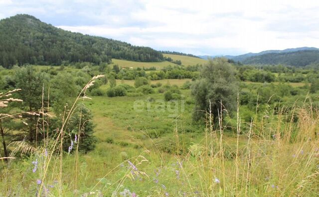 земля ул Советская Горно-Алтайск фото