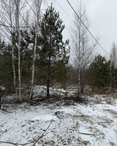 земля д Никулино ул Извилистая р-н Октябрьский фото