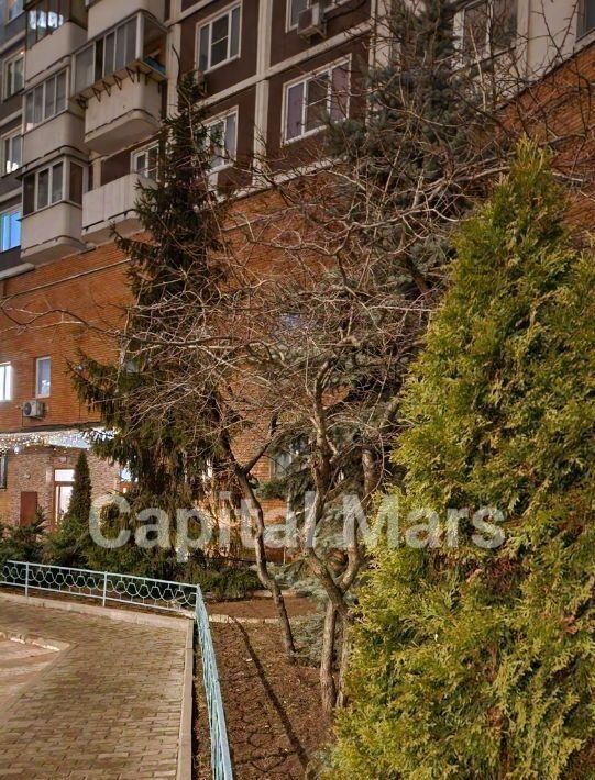 квартира г Москва метро Братиславская ул Братиславская 22 фото 16