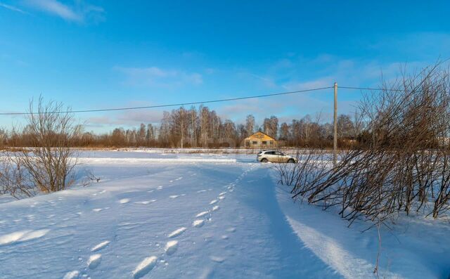 12-й км Велижанского тракта фото