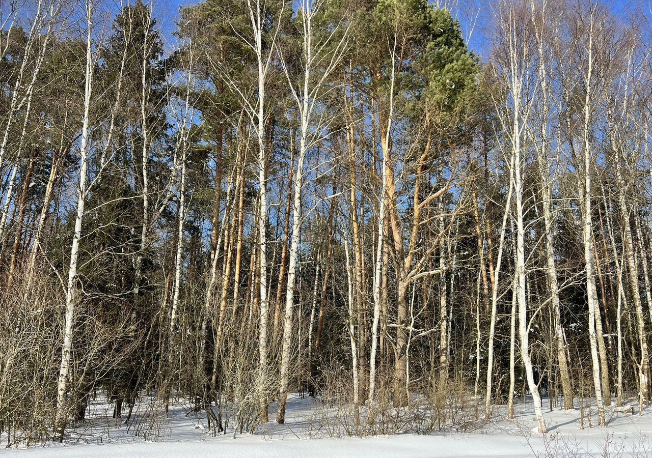 земля городской округ Мытищи с Марфино 18 км, Дмитровское шоссе фото 3