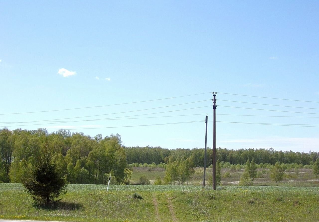 земля городской округ Серпухов д Лужки 80 км, Пущино, Симферопольское шоссе фото 3