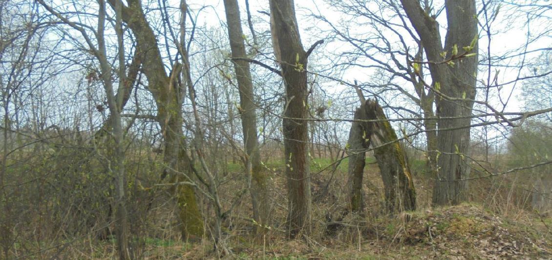 земля городской округ Дмитровский д Жуково фото 1