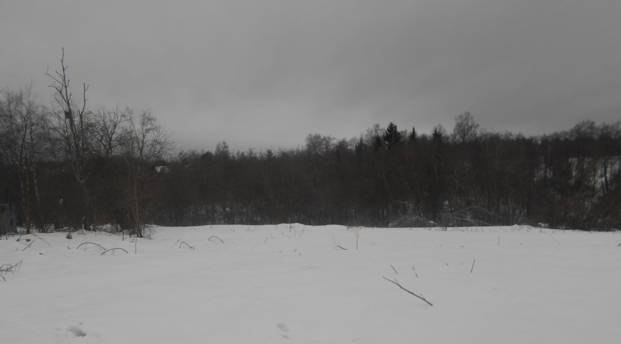 земля городской округ Шаховская д Выдрино д. Бролино фото 1