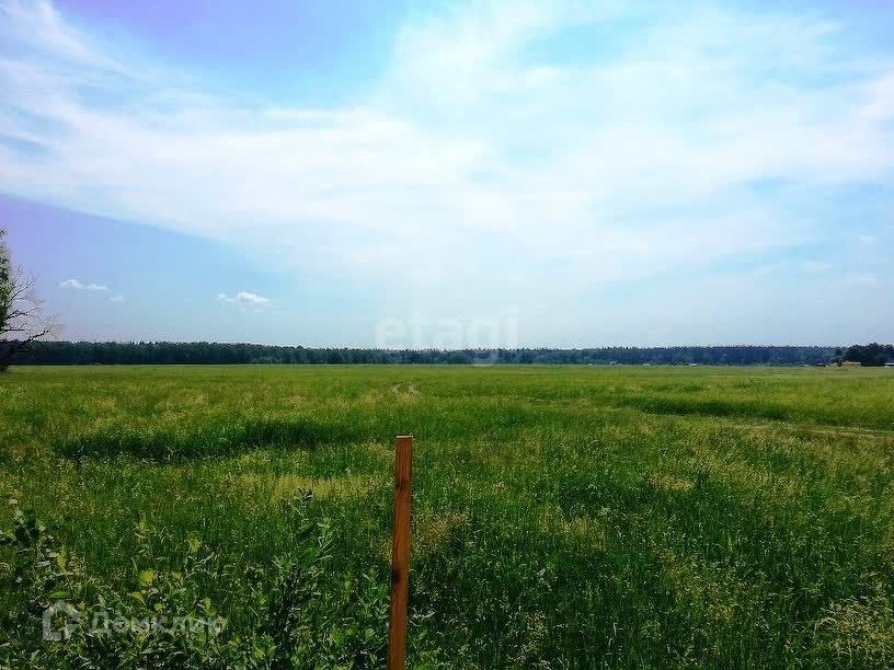 земля р-н Тукаевский Республика Татарстан Татарстан, Алтын, улица Салиха Сайдашева фото 8