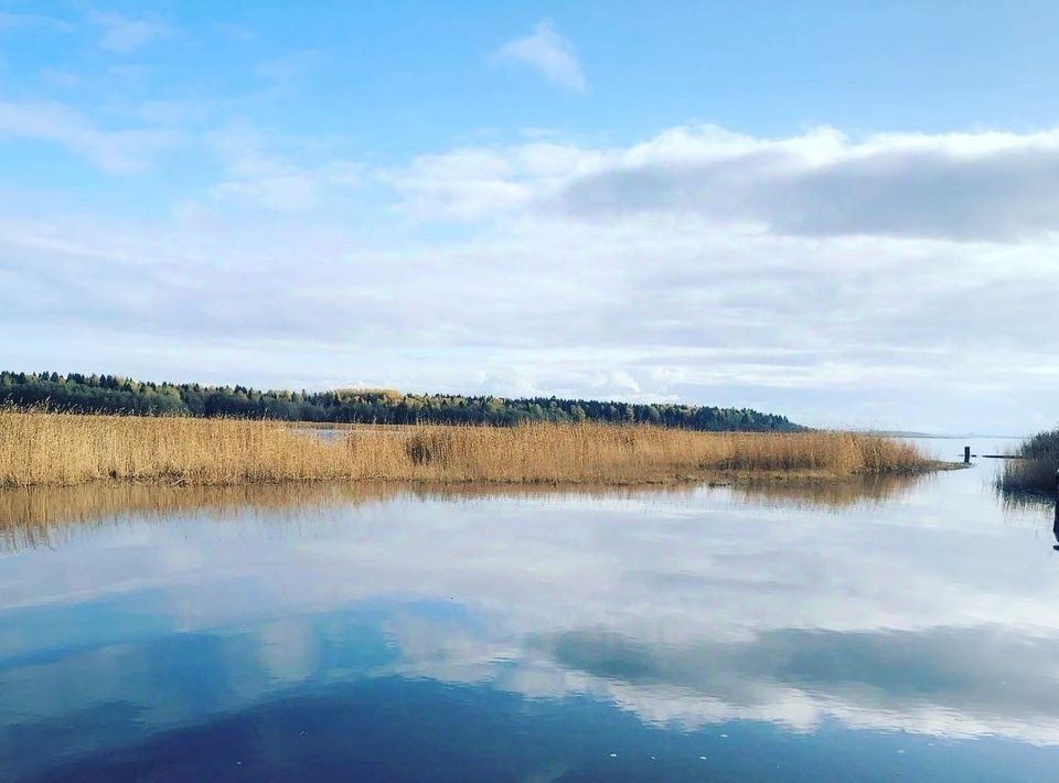 земля р-н Выборгский п Чулково ул Центральная Селезневское с/пос фото 17