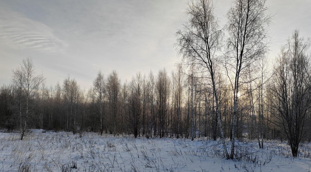 офис городской округ Чехов д Алачково фото 1