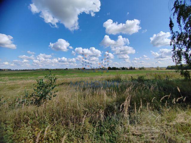 земля городской округ Шаховская д Волочаново ул Центральная фото 1