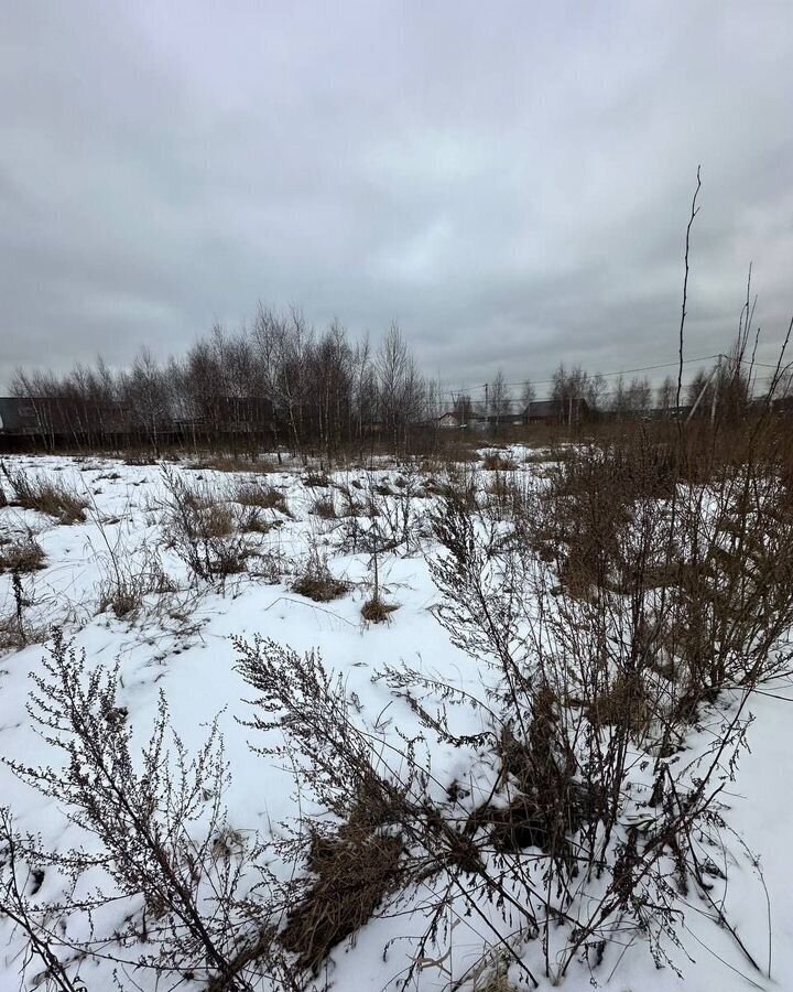 земля городской округ Дмитровский рп Икша 34 км, д. Каменка, Рогачёвское шоссе фото 4