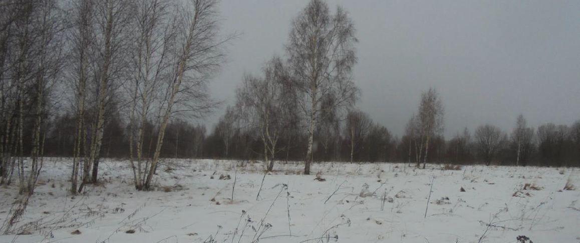 офис городской округ Дмитровский д Богданово фото 1