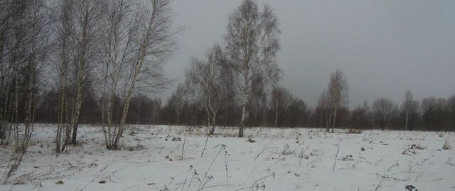 офис городской округ Дмитровский д Богданово фото