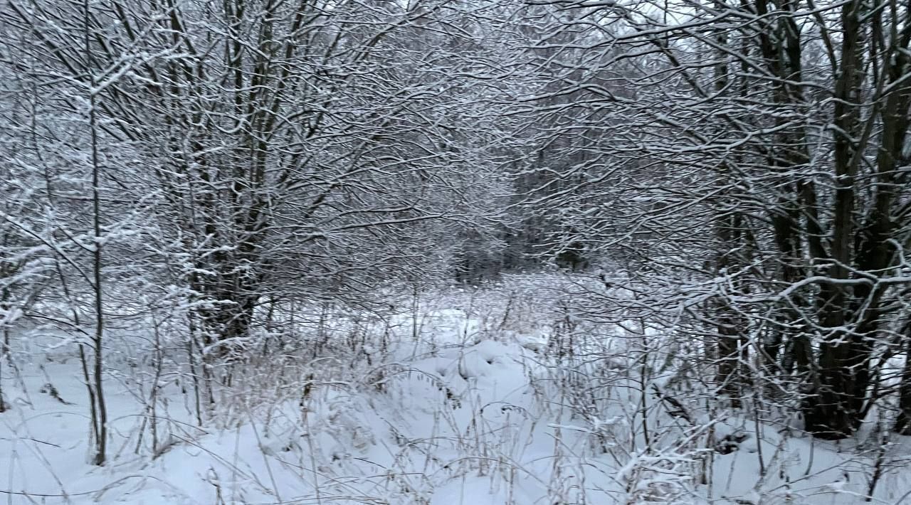 офис городской округ Воскресенск д Чемодурово ул Восточная фото 1