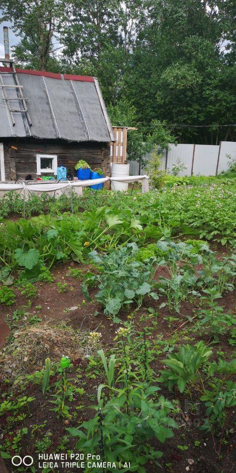 квартира р-н Гатчинский Сиверский городской поселок, Дружносельский тер., ул. Дружносельская, 42 фото 1