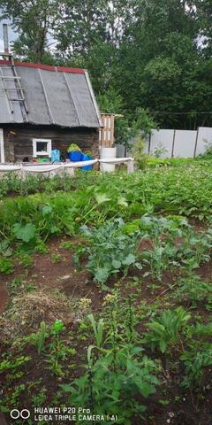 Сиверский городской поселок, Дружносельский тер., ул. Дружносельская, 42 фото