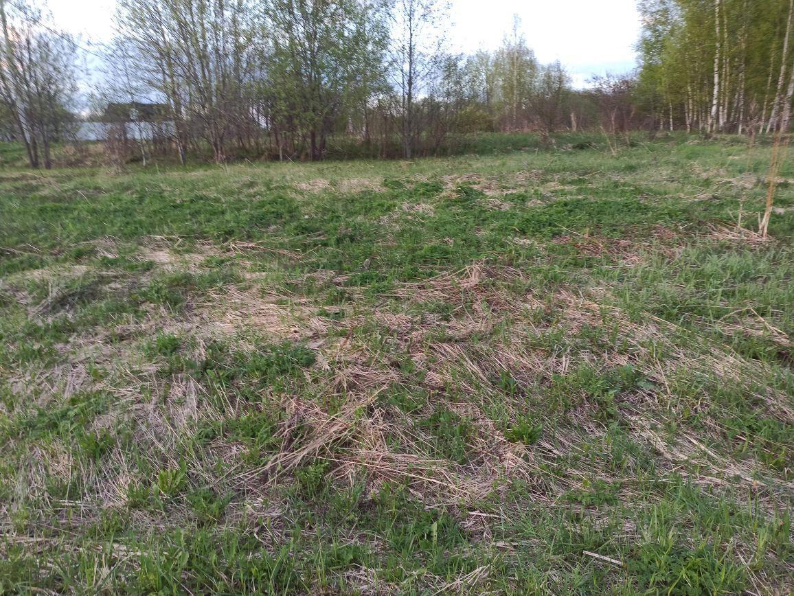 земля городской округ Сергиево-Посадский с Богородское Селково, 18 фото 12