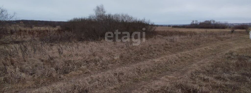 земля р-н Хохольский с Кочетовка ул Центральная фото 2