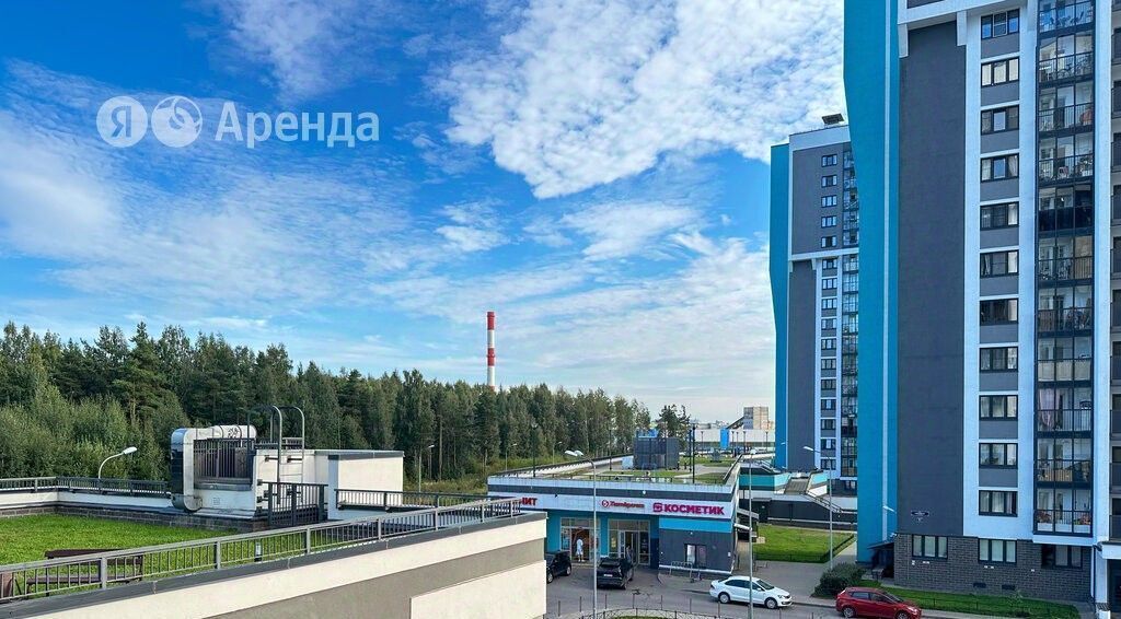 квартира г Санкт-Петербург метро Комендантский Проспект ул Лидии Зверевой 9к/2 округ Коломяги фото 13