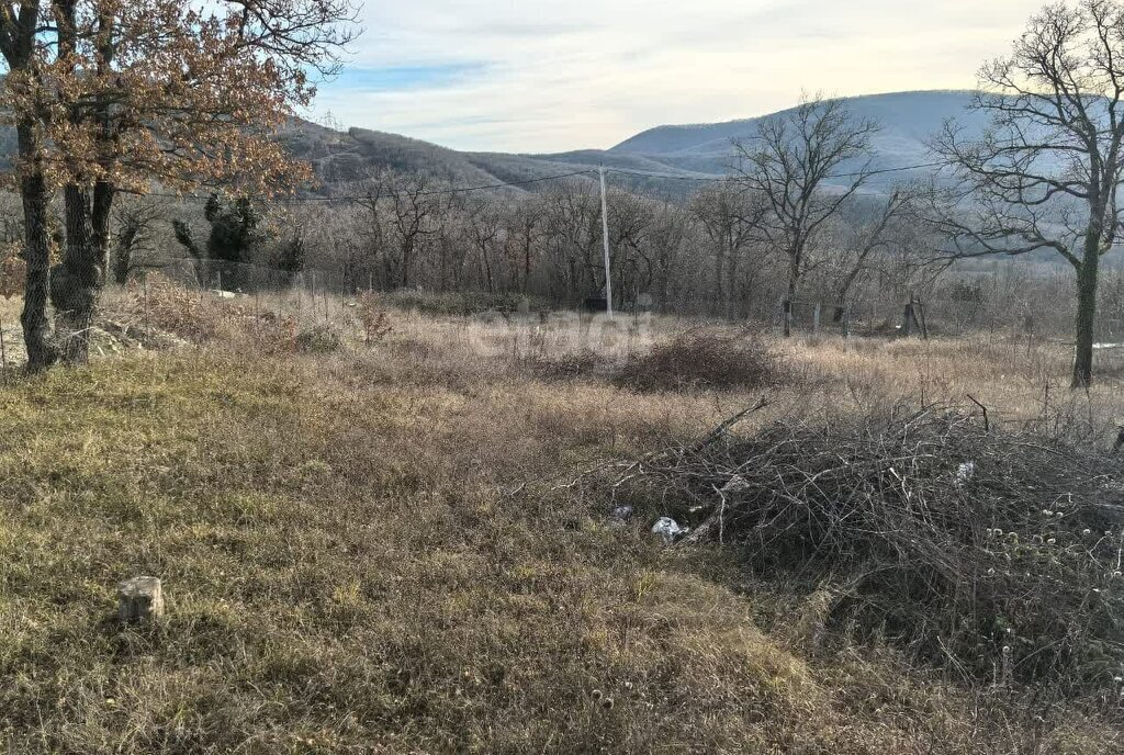 земля г Новороссийск садовое товарищество Василёк фото 2