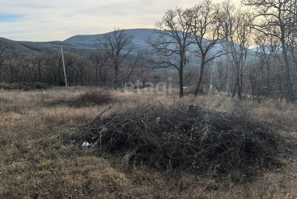 земля г Новороссийск садовое товарищество Василёк фото 4