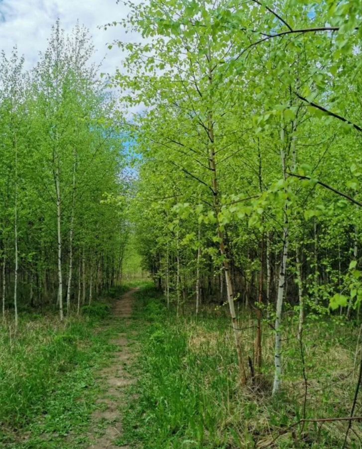 земля р-н Богородский с Спирино Буревестник фото 6