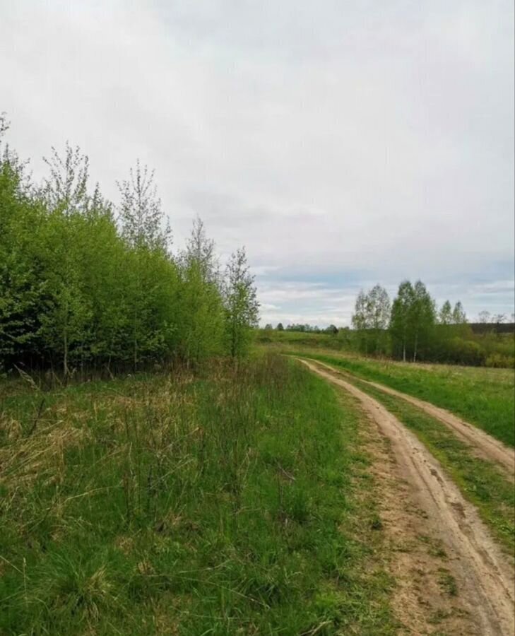 земля р-н Богородский с Спирино Буревестник фото 7