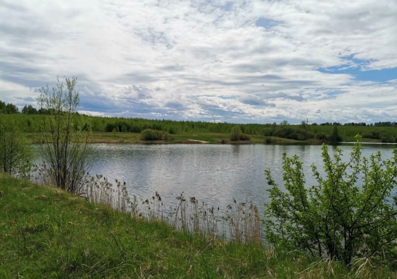 земля р-н Богородский с Спирино Буревестник фото 8